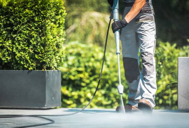 Best Patio and Deck Pressure Washing  in Moscow, PA